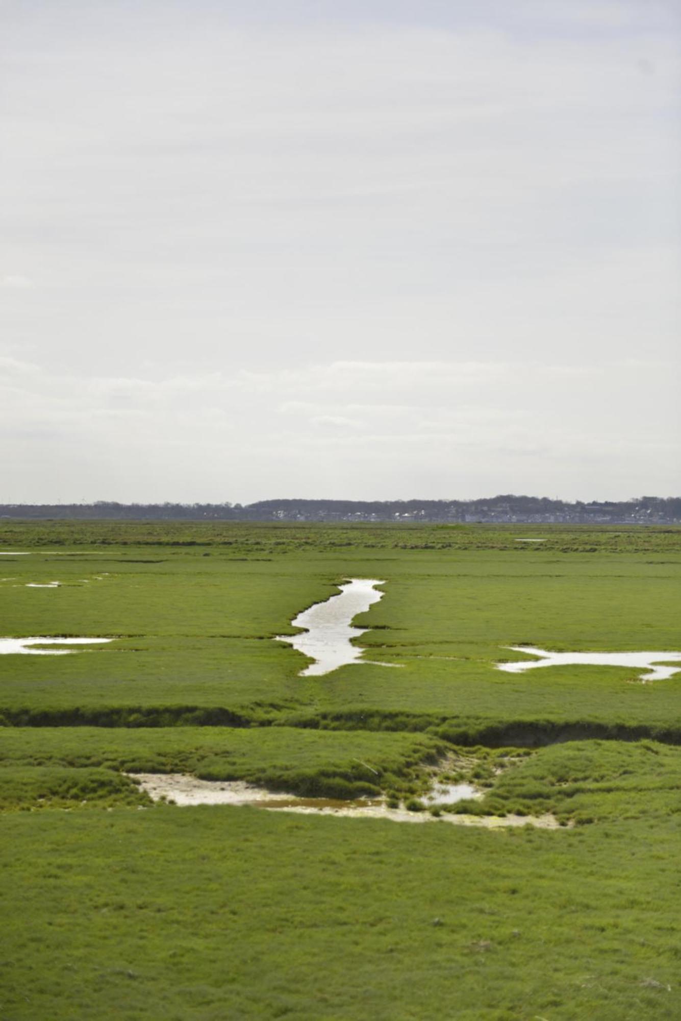Le Cottage De La Baie - Vue Mer En Baie De Somme Woignarue ภายนอก รูปภาพ