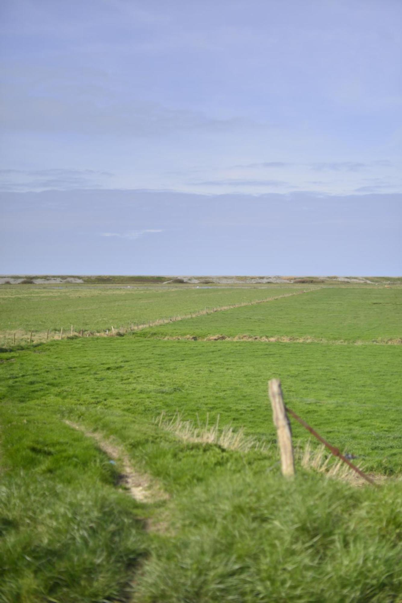 Le Cottage De La Baie - Vue Mer En Baie De Somme Woignarue ภายนอก รูปภาพ