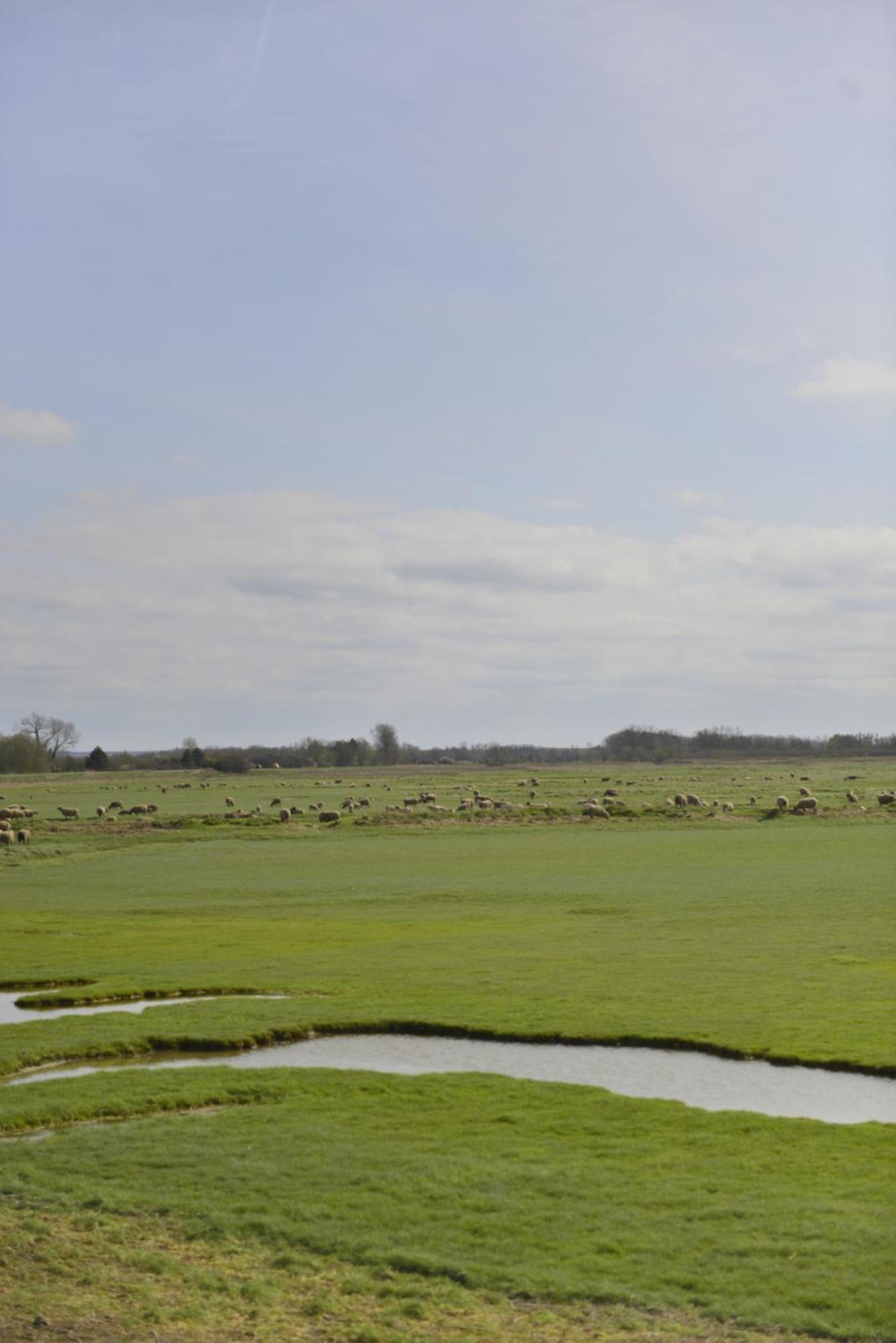 Le Cottage De La Baie - Vue Mer En Baie De Somme Woignarue ภายนอก รูปภาพ